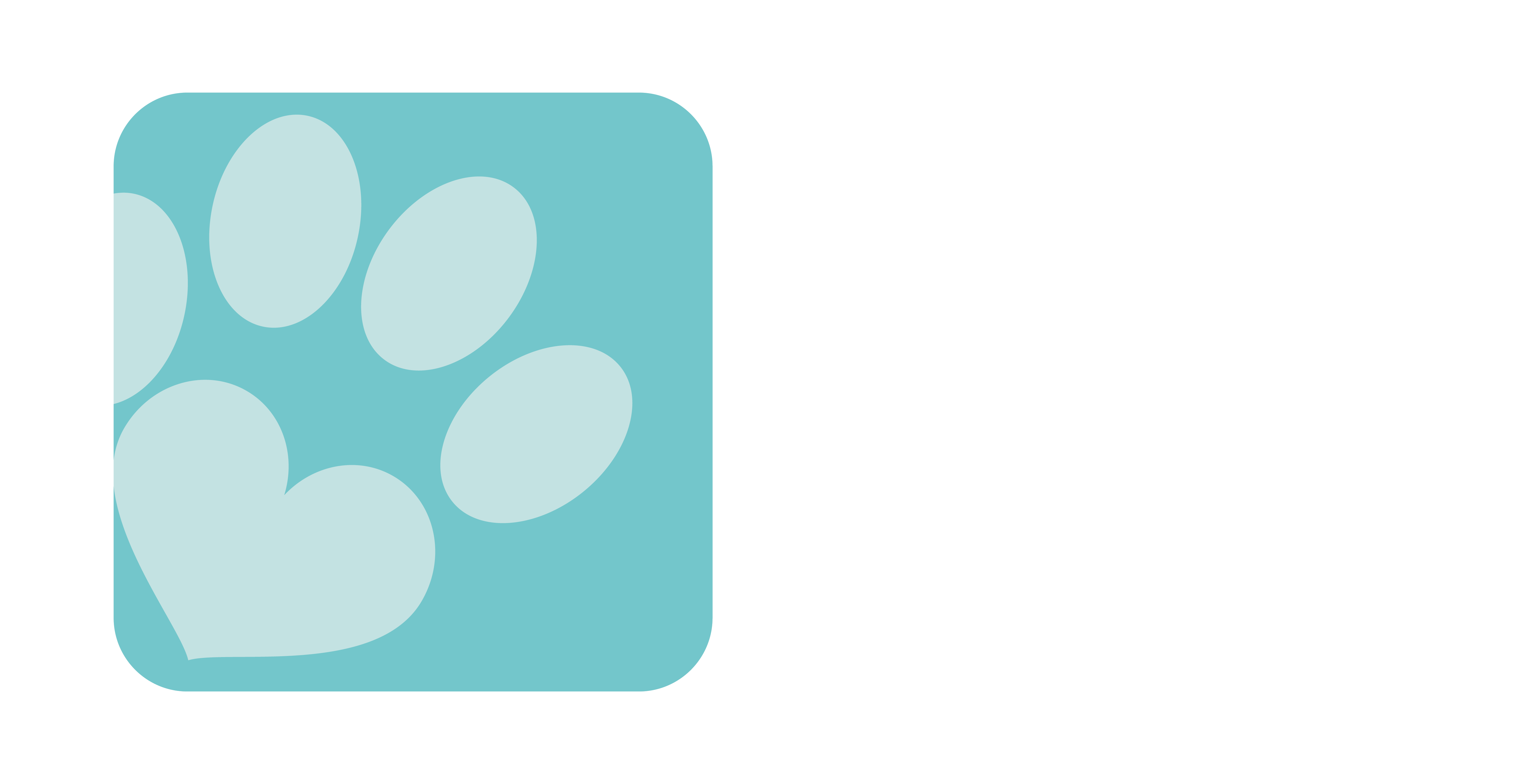 paw-fashion.com